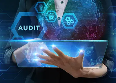 Automated site auditors